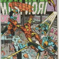 invincible vf