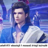 chinese anime like peerless martial spirit