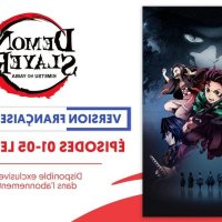 demon slayer saison 2 en français tous les ép