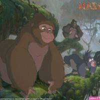 telechargement dessin animé tarzan