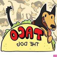 taco the dog manwha free