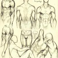 anatomy naked comics