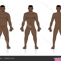 anatomy naked comics