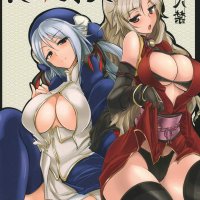 海贼王h