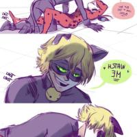 miraculous ladybug sex comics