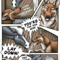 animal comics xxx
