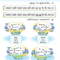 ப ண 10ச க ஸ