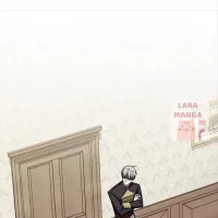 finding camillia novel