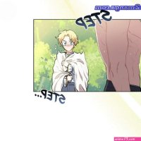 finding camillia novel