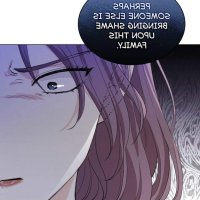 finding camillia novel