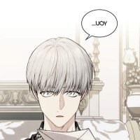 finding camillia novel