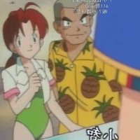 精灵宝可梦h小说