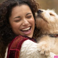 read silly dog and lady