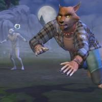 cat like vampire eat up to the bones