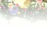 i failed to divorce my husband novel