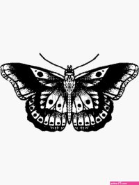 black butterfly 3d comics hentai