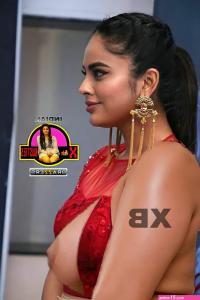 hot aunty fakes desifakes.com