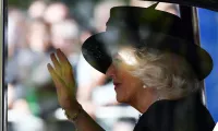 rise of the divorce consort