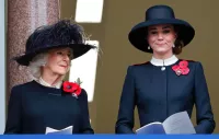 rise of the divorce consort