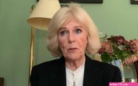 rise of the divorce consort