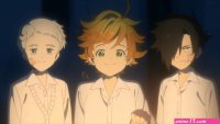 the promised neverland english dub