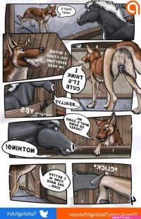 dog and horse porn comics