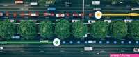 one tree hill google drive