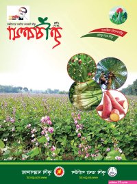 ব ন ১০ স ক স কম ক স