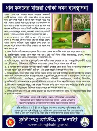 ব ন ১০ স ক স কম ক স