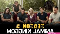 kingdon saison 4 en streaming