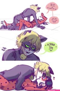 lady bug sex cat noir comic pictures english version