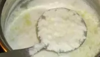ব ল চট ক র ট ন