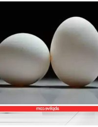 ব ল চট ক র ট ন