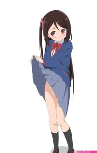 doujindesu anime cfnm