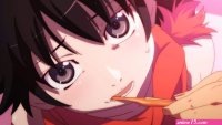 nisemonogatari anime sex scenes