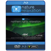 www.blufim video 2 in 1.com