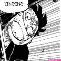 one piece capitulo 1009