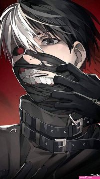 download de animes