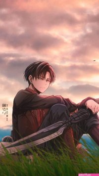 download de animes