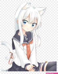 download de animes