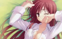 anime hentai 4k imagenes
