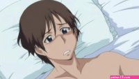 love in law h anime