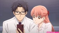 wotakoi oav 3 streaming
