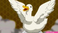 oav food wars vostfr