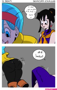 Bulmas promise comic porn