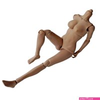 : Zjp 16 Scale Female Nude Body for 12 Inch Joints Action Figures Doll Soft Bust Hip Middle Breast : Toys Games