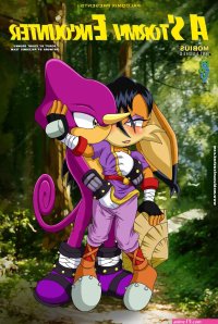 Sonic Porn