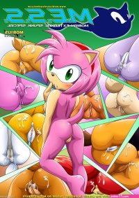 Sonic the Hedgehog Porn Comics Rule 34 comics Cartoon porn comics