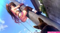 long hair thighs ass ninja girl anime upskirt panties NinNinDays low-angle portrait display poles climbing stockings animals anime girls