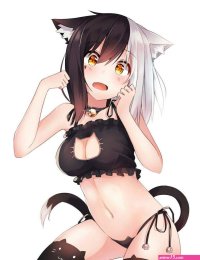 Anime Cat Porn